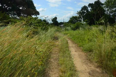 DSC_8714 (Large).JPG